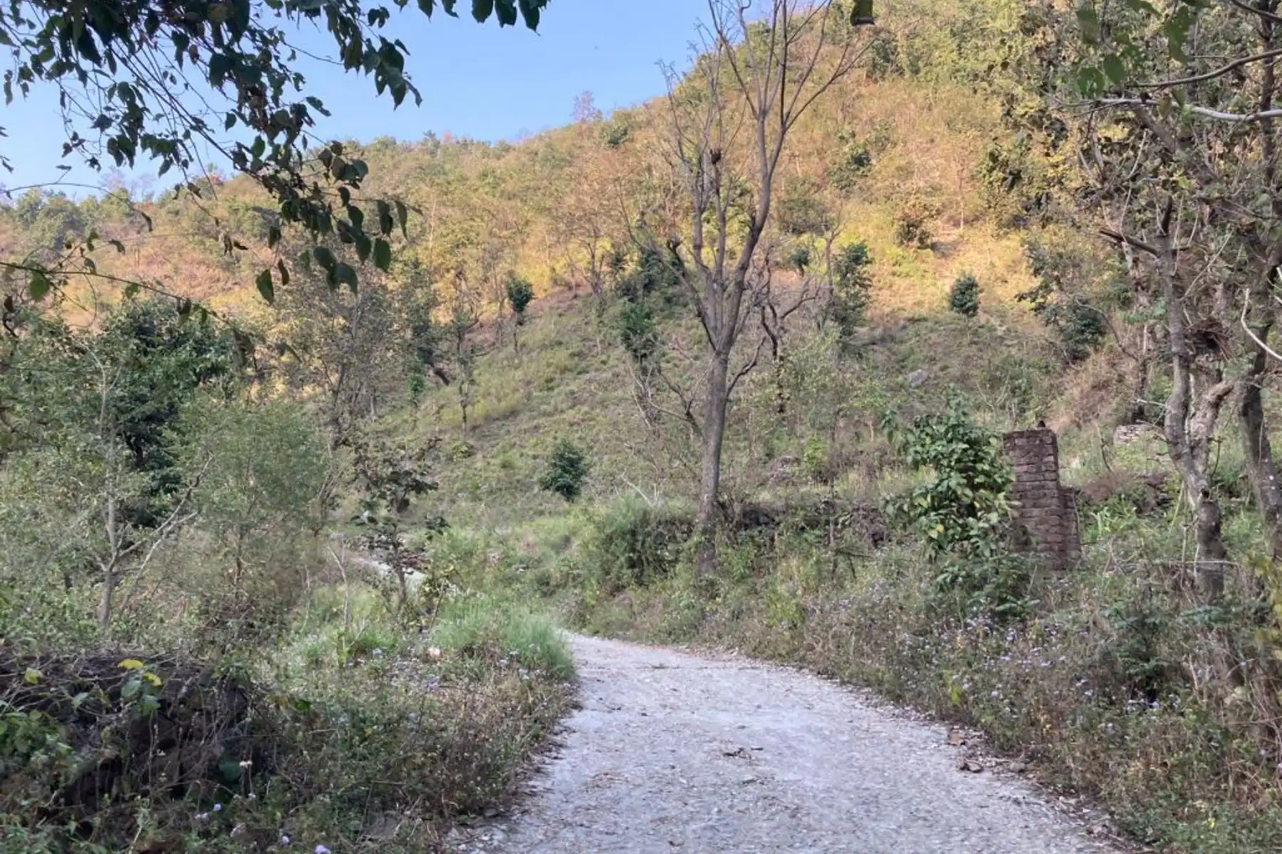 VILLAGE WALKS